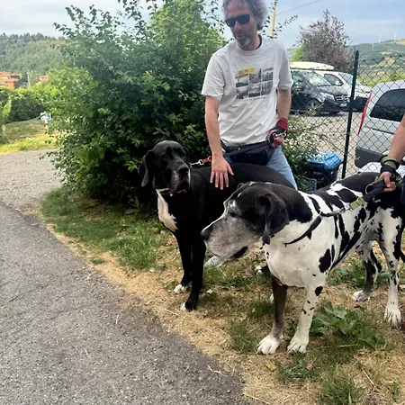 La Corte Dei Celti 7